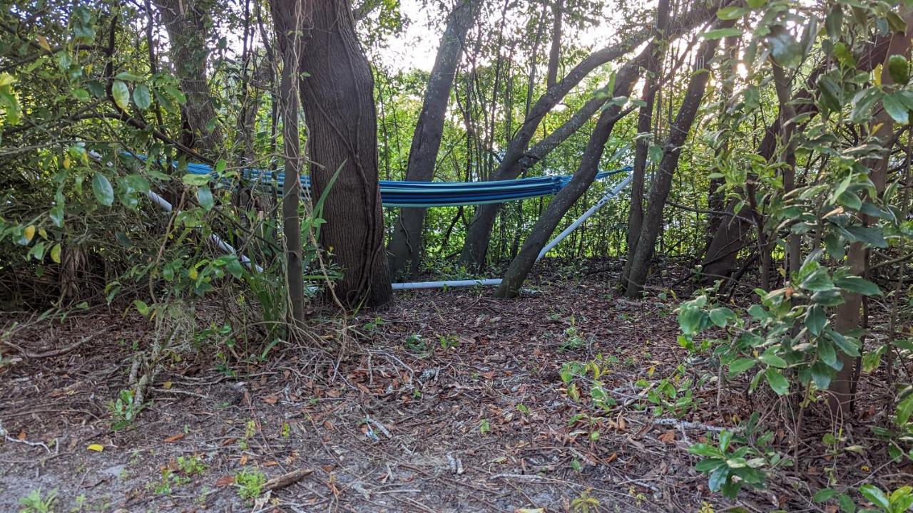 Your Manatee And Scalloping Adventure Retreat クリスタルリバー エクステリア 写真