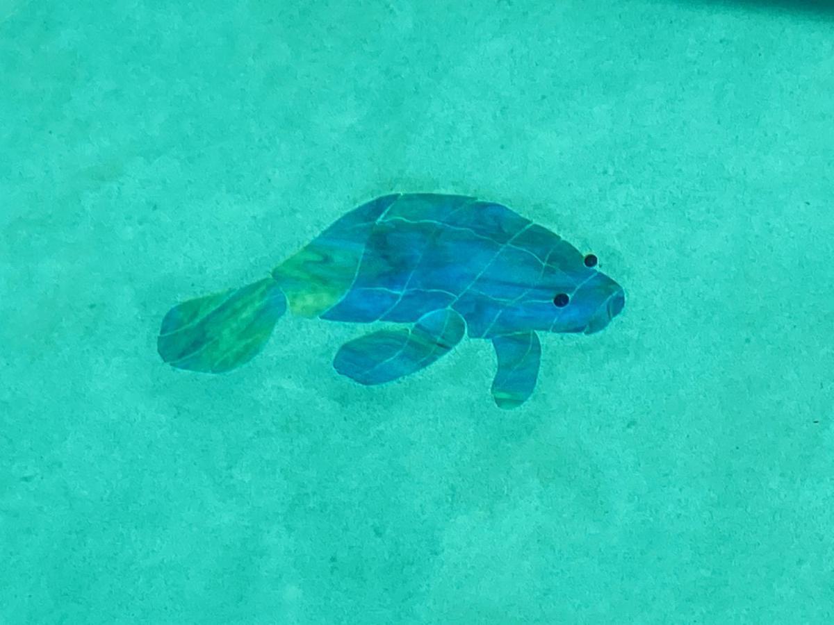 Your Manatee And Scalloping Adventure Retreat クリスタルリバー エクステリア 写真