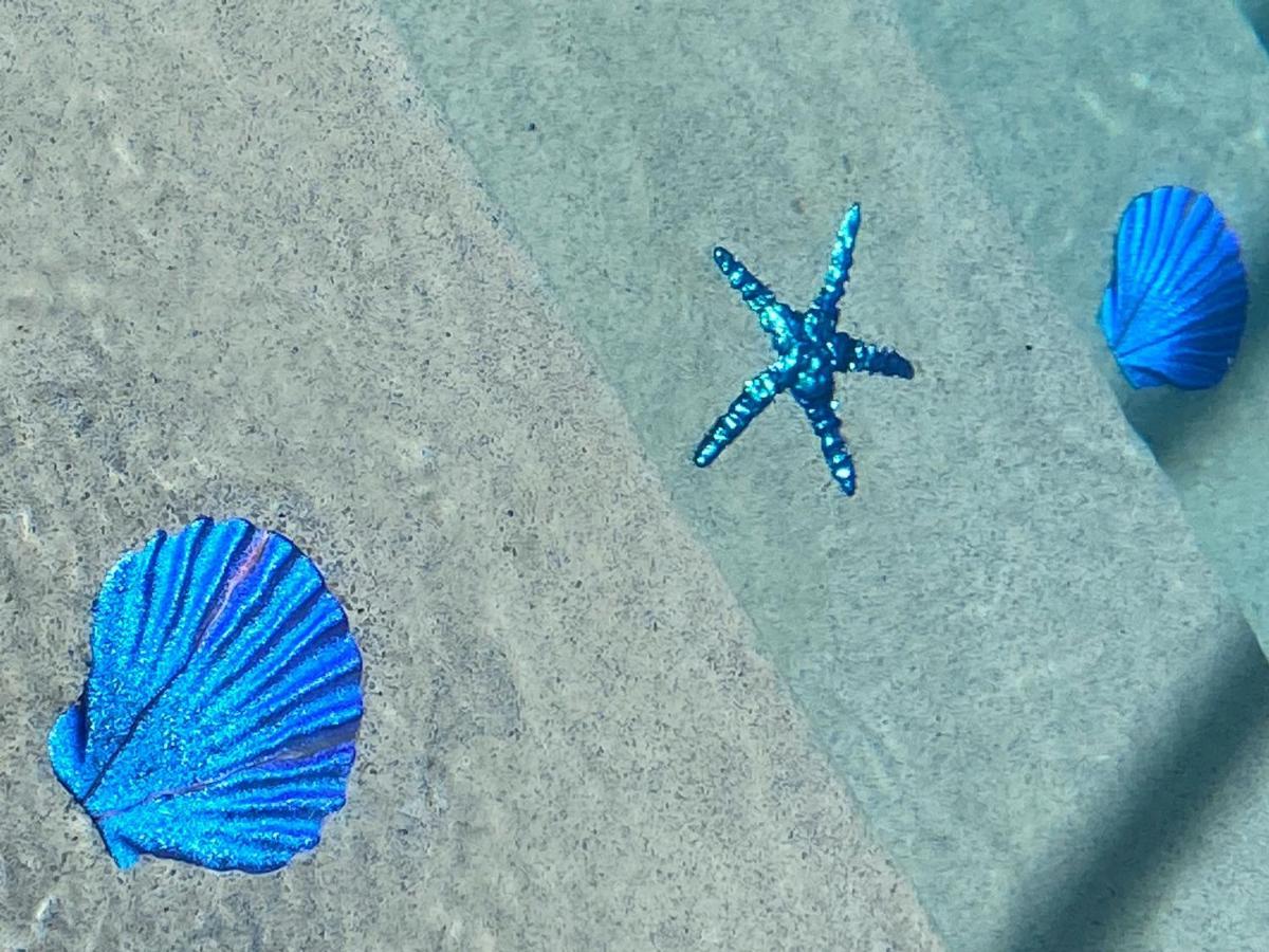 Your Manatee And Scalloping Adventure Retreat クリスタルリバー エクステリア 写真